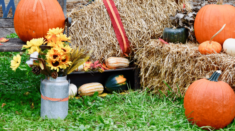 Photo of pumpkins and other fall decoration