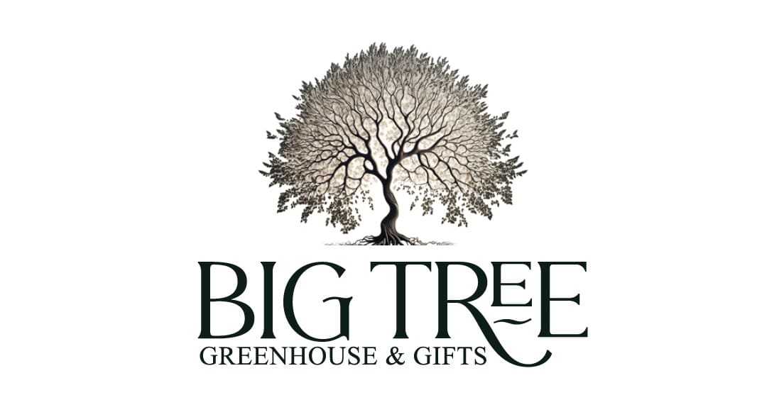 Big Tree Greenhouse & Gifts Logo