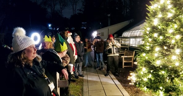 Guests watch the tree being lit at Big Tree Greenhouse & Gifts