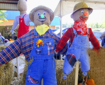 Two scarecrows 