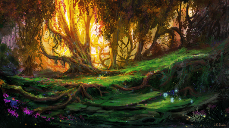 Enchanted forest photo