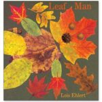 Leaf Man Book Cover