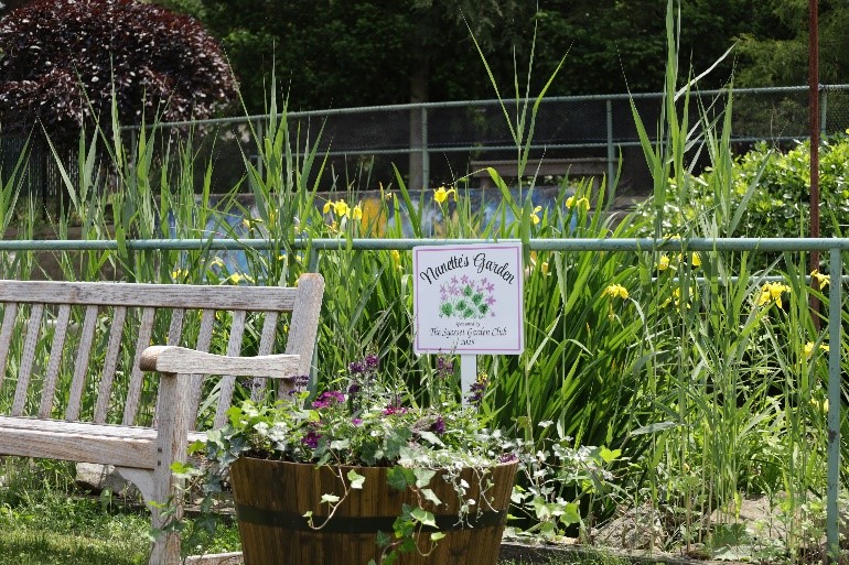 A bench and a dedication sign in Nanette's Garden