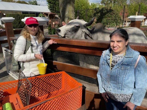 People supported with a cow at recreational White Post Farms