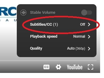 3. Click “Auto-translate”