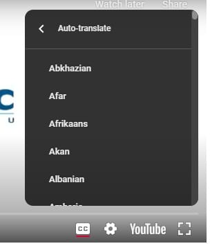 A dropdown menu displaying various language options for auto-translation, including Abkhazian, Afar, and Arabic.