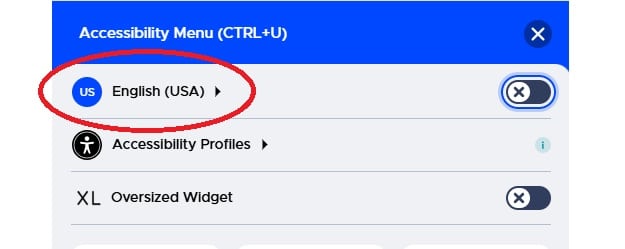 Accessibility menu showing language options, with "English (USA)" highlighted.